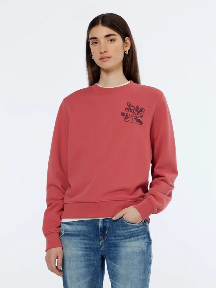 Chest Artwork Regular Sweatshirt Dusty Red Women Scotch and Soda Sweatshirts and Hoodies Chest Artwork Regular Sweatshirt Dusty Red Women Scotch and Soda Sweatshirts and Hoodies